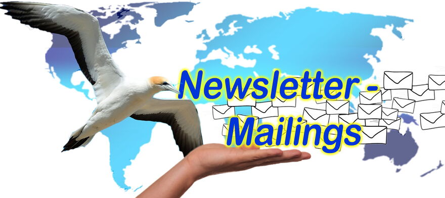 Ihr Internetmarketing - Beratung, Websites, Newsletter, Mailings - TGS Webservices - Online- und Digital Marketing-Agentur