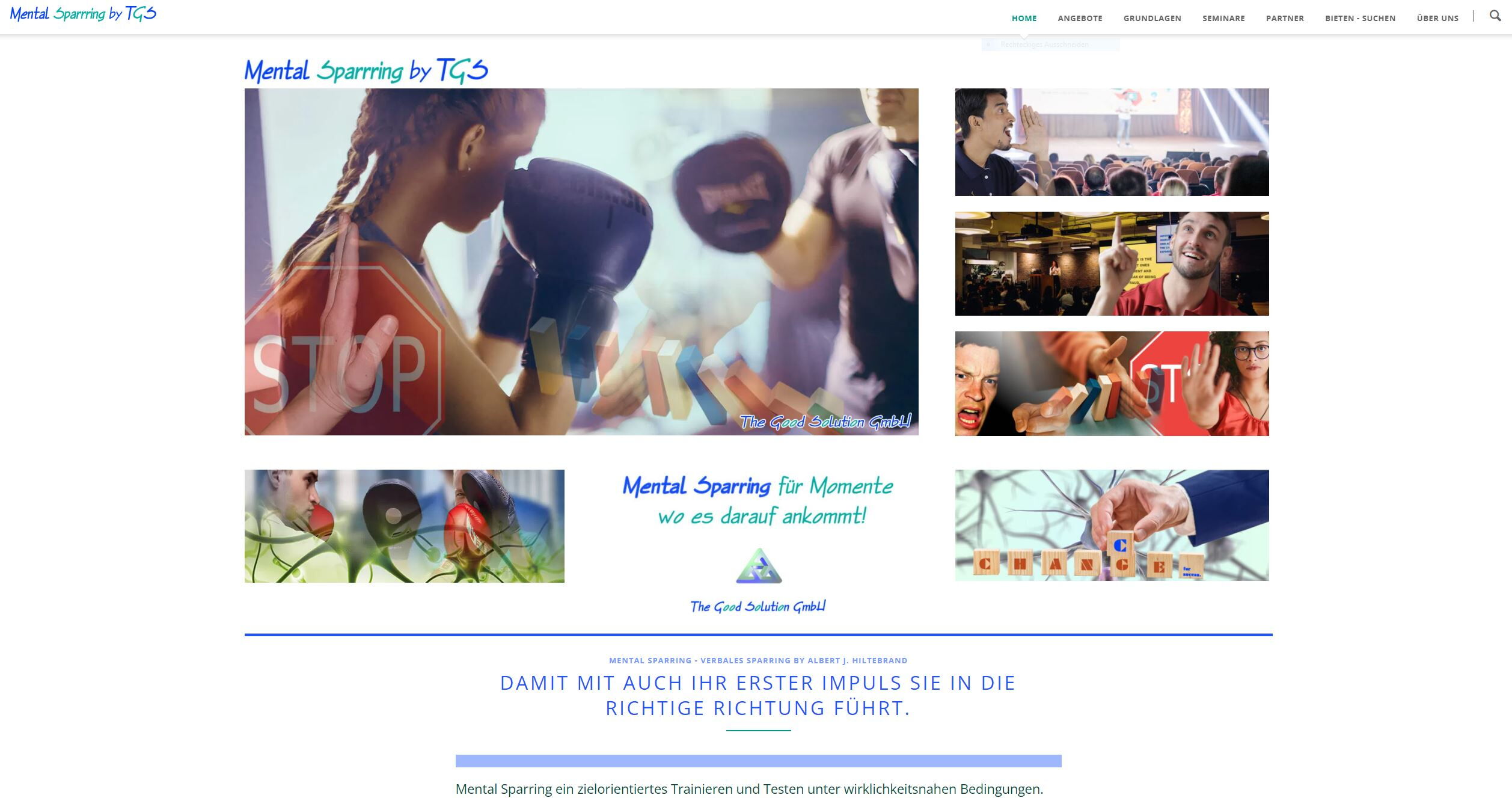 Mental Sparring - verbales und mentales Sparring, Coachings und Seminare by The Good Solution GmbH von 