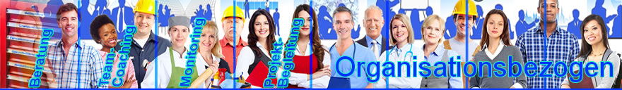 Organisationsbezogene Dienstleistungen: Beratung - Fachberatung, Moderation - Mediation, Monitoring, Systemische Organisationsaufstellungen, Projektbegleitung, Teamcoaching - Teambildung, Workshops - The Good Solution GmbH - www.the-good-solution.com