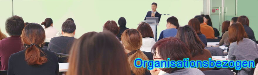 Organisationsbezogene Arbeitsbereiche: Betriebsklima, Change Management, Fehlzeitenmanagement, Gesundheitsförderung, Innerbetriebliche Kommunikation, Konflikte, Mobbing, Motivation, Personalfluktuation, Reibungsverluste  - The Good Solution GmbH