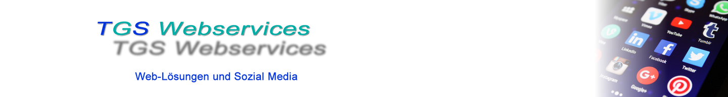 Unsere Dienstleistungen: Beratung im Bereich Sozial Media und Business-Netzwerke - TGS Webservices - www.tgs-webservices.ch