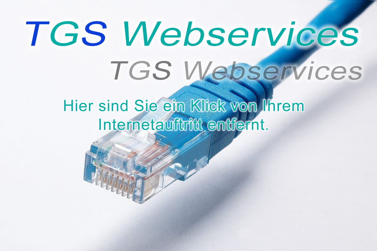 Digital-Marketing und Entwicklung von Websites - TGS Webservices - Online- und Digital Marketing-Agentur