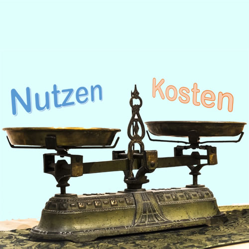 Websites mit einem fairen Kosten- Nutzenverhältnis - Value for Money - TGS Webservices - www.tgs-webservices.ch