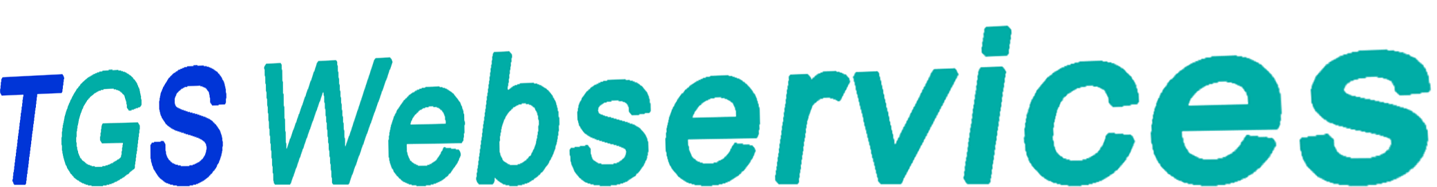 TGS Webservices - Online und Digital Marketing Agentur